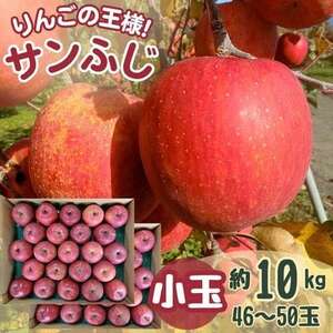 サンふじ 小玉 10kg 43〜50玉