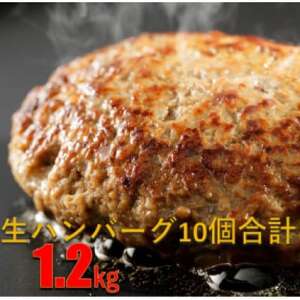 [毎月定期便]和牛入り生ハンバーグ 120g×10個 1.2kg全3回[配送不可地域:離島]