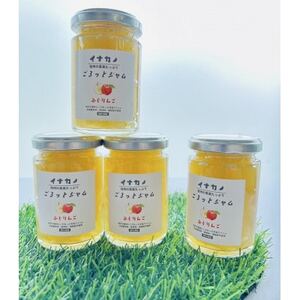 イナカノ ごろっとジャム ふじりんご 140g×4本セット[信州中野]
