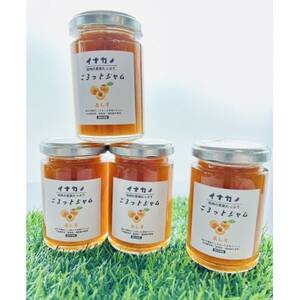 イナカノ ごろっとジャム あんず 140g×4本セット[信州中野]