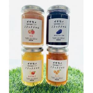 長野県果実を使った イナカノ ごろっとジャム 140g×おすすめ4本セット[A]