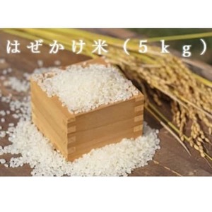 ā@RVqJ(͂)ā@5kgy1639180z