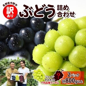 y2026Nstz󂠂 Ԃǂ [ 2 Hה v2pbN(v800gȏ) MBۍK_yzsnFEꌧzy1671026z