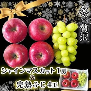 この冬お届け!贅沢 シャインマスカット1房 + 完熟ふじ(りんご)4玉入 長野県産 フルーツギフト