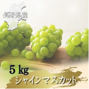 �y2026�N��s�\��J�n!�z���쌧����s�Y�V���C���}�X�J�b�g 5kg(8�`12�[)�y�z���s�n��F�����z�y1682422�z