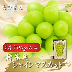 [2026年先行予約開始!]贈答用 厳選シャインマスカット 1房(700g以上)[配送不可地域:離島]