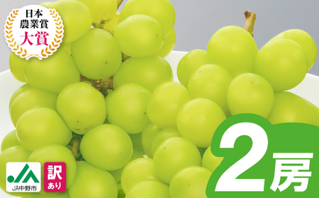 [2026年発送]訳ありシャインマスカット2房1kg以上 JA中野市から産直[配送不可地域:離島]