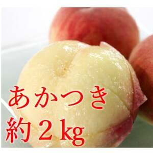 白桃(あかつき)約2kg
