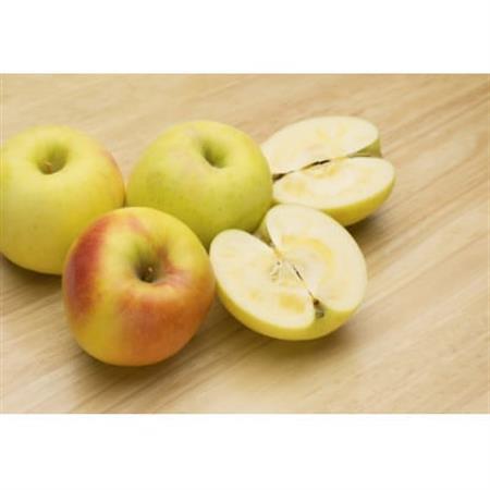 [2026年発送]甘みが強い 長野県産 りんご ぐんま名月 約1.5kg(3〜5玉程度)