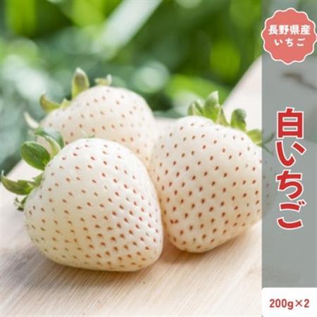 [2026年発送予定]長野県産 希少 白いちご 2パック[約400g][配送不可地域:離島]