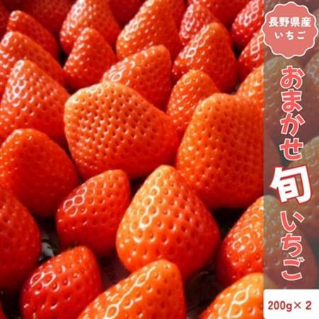 [2026年発送予定]長野県産 いちご おまかせ 2パック[約400g][配送不可地域:離島]