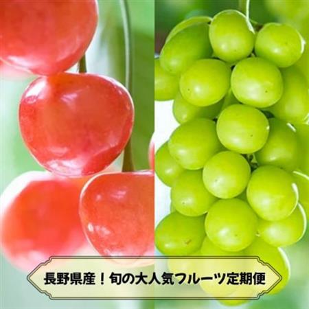 [発送月固定定期便]2026年発送予定 長野の果物 さくらんぼ+シャインマスカット全2回[配送不可地域:離島]