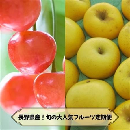 [発送月固定定期便]2026年発送予定 長野の果物 さくらんぼ+シナノゴールド全2回[配送不可地域:離島]