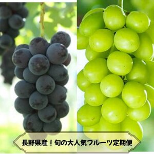 [発送月固定定期便]長野の果物 ナガノパープル+シャインマスカット全2回[配送不可地域:離島]