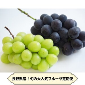 [発送月固定定期便]長野の果物 種なし巨峰+シャインマスカット全2回[配送不可地域:離島]