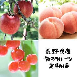 [発送月固定定期便]信州人気のフルーツを掛け合わせた果物セット全3回[配送不可地域:離島]