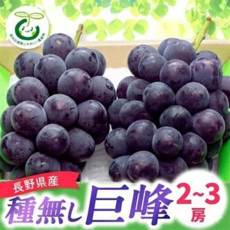 [発送月固定定期便]2026年発送[長野県産]信州種無し巨峰 2〜3房+サンふじ林檎 10kg全2回[配送不可地域:離島]