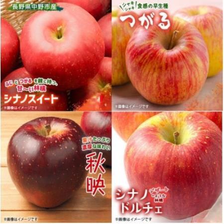 季節のおすすめリンゴ　1ケース約4.8kg【1731399】