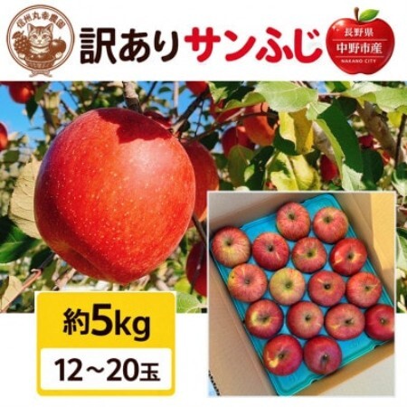 生産農家直送　長野県中野市産　サンふじ　訳ありご家庭用　約5kg(12～20玉)【1716055】