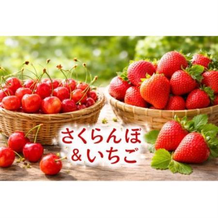 【発送月固定定期便】長野の果物 いちご+さくらんぼ　全2回【配送不可地域：離島】【4085408】