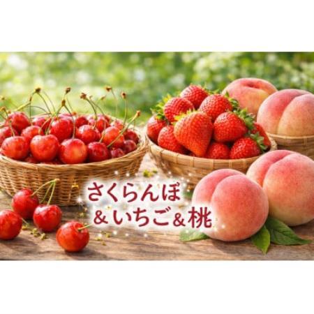 【発送月固定定期便】信州人気のフルーツ(いちご・さくらんぼ・桃)セット全3回【配送不可地域：離島】【4085410】