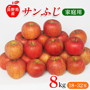 りんご サンふじ 家庭用 10kg【2022年11月末日以降お届け】