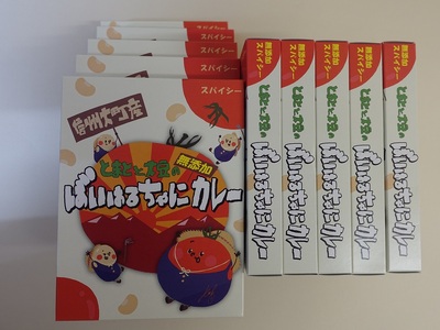 ばいはるちゃにカレーセット（10箱）