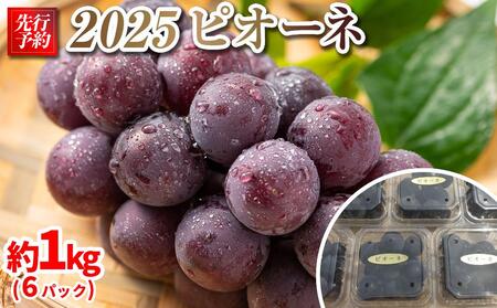 2025@P@sI[l@̂6pbN@1L@y10{`\z@쌧Y@ۓL@엿͔| | sI[l sI[l