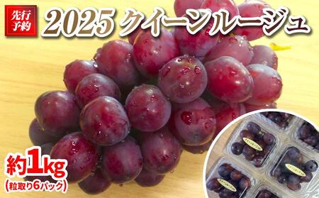 2025@P@NC[[WR@̂6pbN @1L@쌧Yy10{`\zۓL@엿͔| | Ԃǂ Ԃǂ