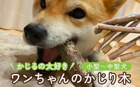 かじるの大好き ワンちゃんのかじり木(小型〜中型犬)