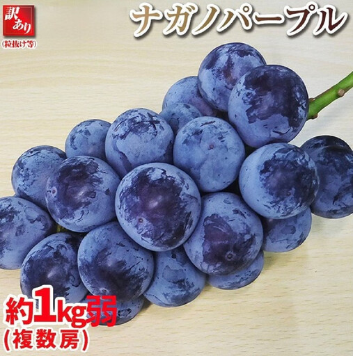 [先行予約]2026 ナガノパープル [訳あり粒抜け等] 房複数 約1kg弱 長野県産 [10月初旬頃〜順次発送予定]国際特許有機肥料栽培