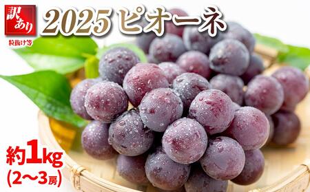 2025@sI[l y󂠂藱z[@1L@쌧Y  y10{`\zۓL@엿͔| | uhE uhE