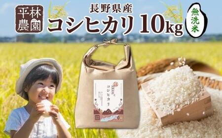 y2025N11`zߘa7NY RVqJ  10kg×1 쌧Y     ͂ CX Â _ƒ Y MB lC Mtg Z  є_  쌧 