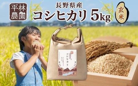 ＜先行予約＞令和7年産 コシヒカリ 玄米 5kg×1袋 長野県産 米 お米 ごはん ライス 低GI 甘み 農家直送 産直 信州 人気 ギフト お取り寄せ 平林農園 送料無料 長野県 大町市