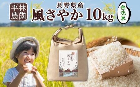 y2025N11`zߘa7NY ₩  10kg×1 쌧Y     ͂ CX Â _ƒ Y MB lC Mtg Z  є_  쌧 咬