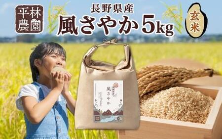 ＜先行予約＞令和7年産 風さやか 玄米 5kg×1袋 長野県産 米 お米 ごはん ライス 低GI 甘み 農家直送 産直 信州 人気 ギフト お取り寄せ 平林農園 送料無料 長野県 大町市
