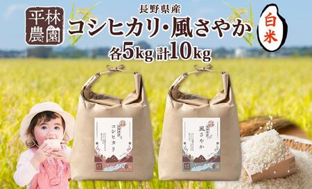 ＜先行予約＞令和7年産 コシヒカリ 風さやか 白米 各5kg 長野県産 米 精米 お米 ごはん ライス 甘み 農家直送 産直 信州 人気 ギフト お取り寄せ 平林農園 送料無料 長野県 大町市