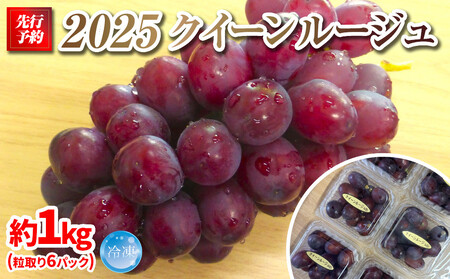 2025 P クイーンルージュ® 冷凍粒採り6パック 約1キロ 長野県産[10月中旬頃〜順次発送予定]国際特許有機肥料栽培 | ブドウ ブドウ