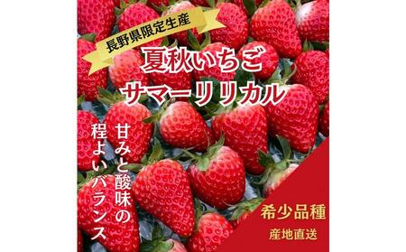 yЂt@[@zďH@T}[Ji쌧萶Yj1i30`36j×2@ C`S Xgx[ ʕ t[c 7 8 kAvX  MB XC[c