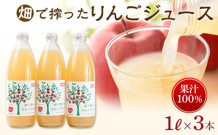 りんご ジュース 3本 × 各1000ml 大町産 箱入り |りんご ジュース 3本 × 各1000ml 大町産 箱入り | りんごジュース りんごジュース りんごジュース りんごジュース りんごジュース りんごジュース