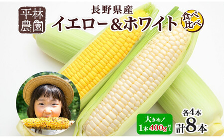 とうもろこし イエロー & ホワイト 食べ比べ 400g以上 各4本 計8本 ゴールドラッシュ ピュアホワイト コーン 玉蜀黍 農家直送 産直 信州 人気 お取り寄せ 平林農園 送料無料 長野県 大町市