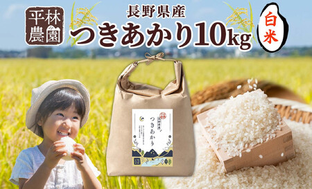 ＜先行予約＞令和7年産 つきあかり 白米 10kg×1袋 長野県産 米 精米 お米 ごはん ライス 甘み 農家直送 産直 信州 人気 ギフト お取り寄せ 平林農園 送料無料 長野県 大町市