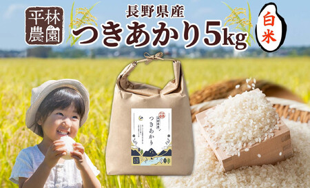 ＜先行予約＞令和7年産 つきあかり 白米 5kg×1袋 長野県産 米 精米 お米 ごはん ライス 甘み 農家直送 産直 信州 人気 ギフト お取り寄せ 平林農園 送料無料 長野県 大町市