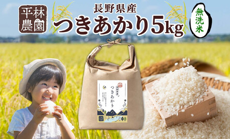 [2025年12月〜順次発送]令和7年産 つきあかり 無洗米 5kg×1袋 長野県産 米 精米 お米 ごはん ライス 甘み 農家直送 産直 信州 人気 ギフト お取り寄せ 平林農園 送料無料 長野県 大町市