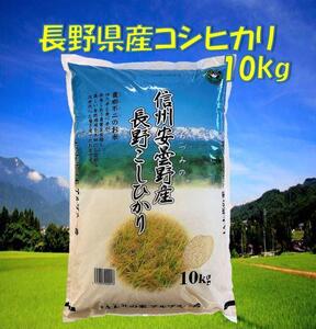 米 コシヒカリ 長野県産 10kg