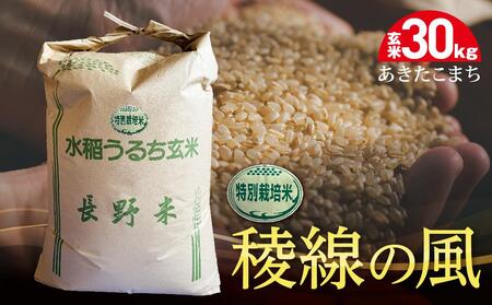 特別栽培米 稜線の風(あきたこまち)玄米 30kg