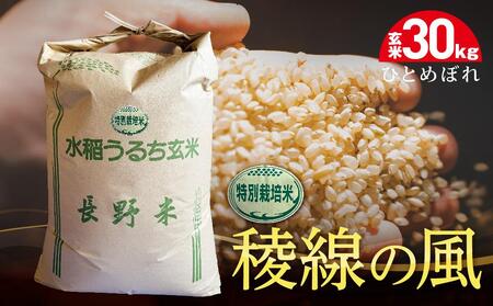 特別栽培米 稜線の風(ひとめぼれ)玄米 30kg [2025年9月下旬頃〜順次発送予定]