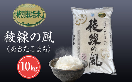 yMZ咬Yzʍ͔|ā@Ő̕i܂j 10kg