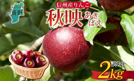 [26年発送 先行予約]長野県産 りんご 秋映 訳あり 約2kg リンゴ 旬 フルーツ 訳アリ 林檎 果物 規格外 自家用 産地直送 農園 産直 お取り寄せ もぎたて 採れたて 送料無料 堀田農園 信州 大町市