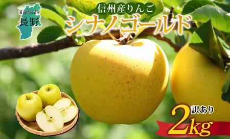 [26年発送 先行予約]長野県産 りんご シナノゴールド 訳あり 約2kg リンゴ 旬 フルーツ 訳アリ 林檎 果物 規格外 自家用 産地直送 農園 産直 お取り寄せ もぎたて 採れたて 送料無料 堀田農園 信州 大町市